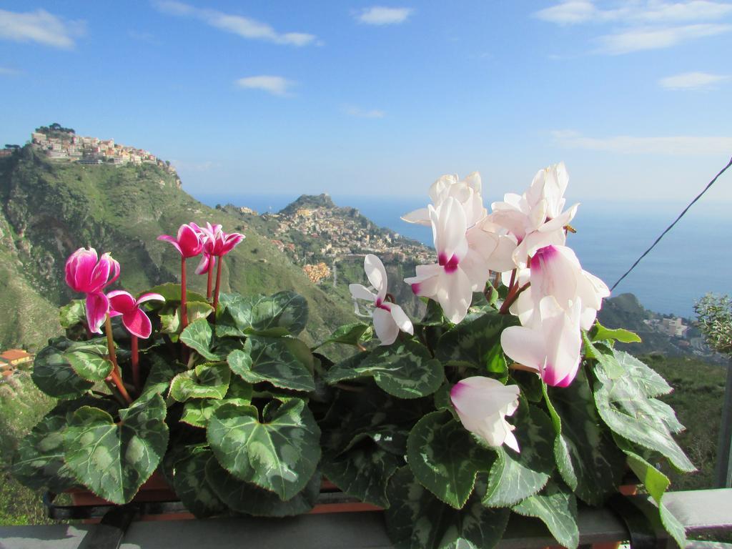 Casale Di Caterina Casa di campagna